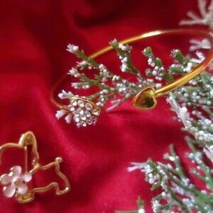 Dog Brooch and a bracelet